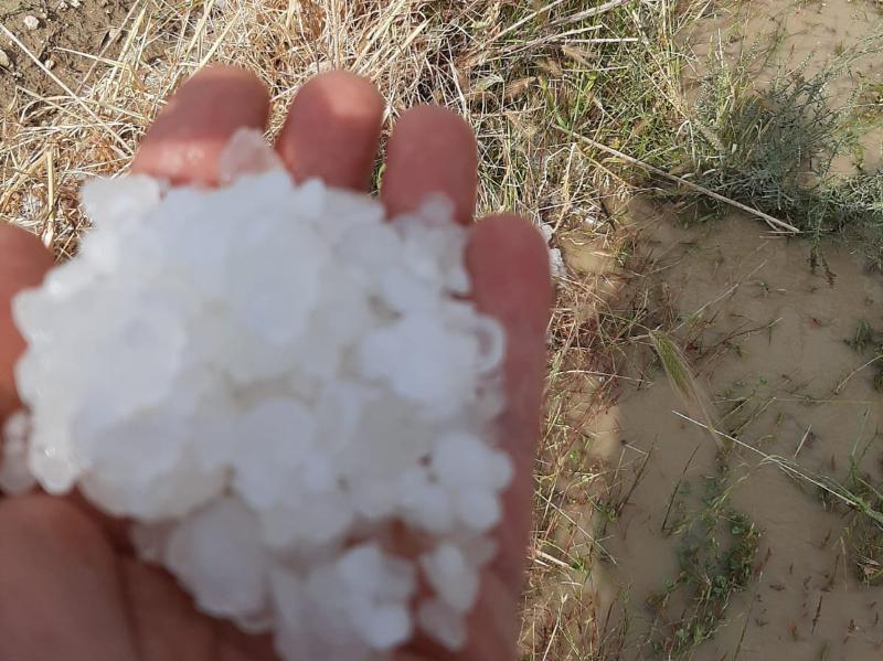 Grandinata a Cerignola, Cia: "Danni nei campi"